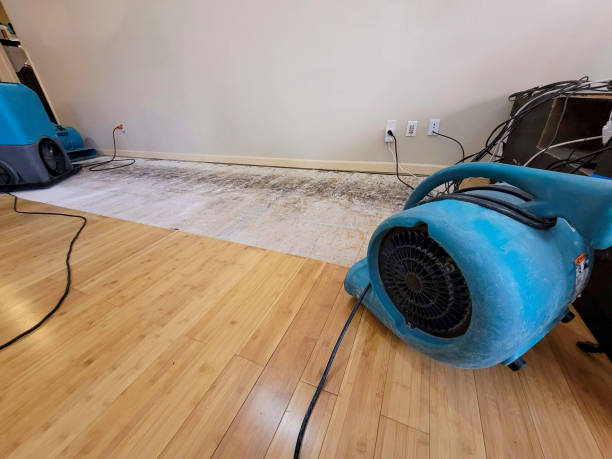 Professional Flood Damage Cleanup technician working in Buena Vista, TN